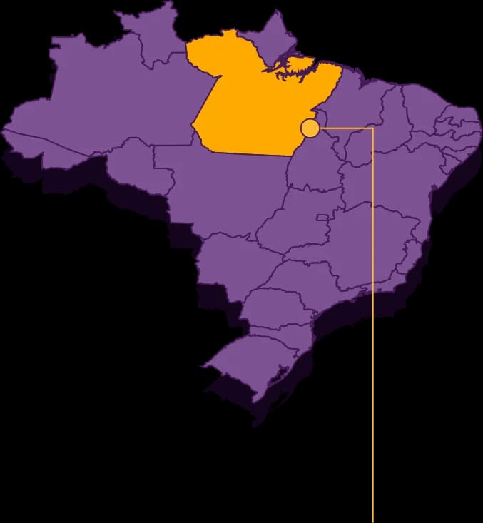 Lila karta över Brasilien med delstaten Pará markerad i gult